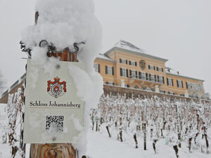 Eiswein auf Schloss Johannisberg