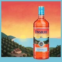 BORCO launcht mit FINSBURY Blood Orange 20% einen leichten Gin-basierten Aperitif 