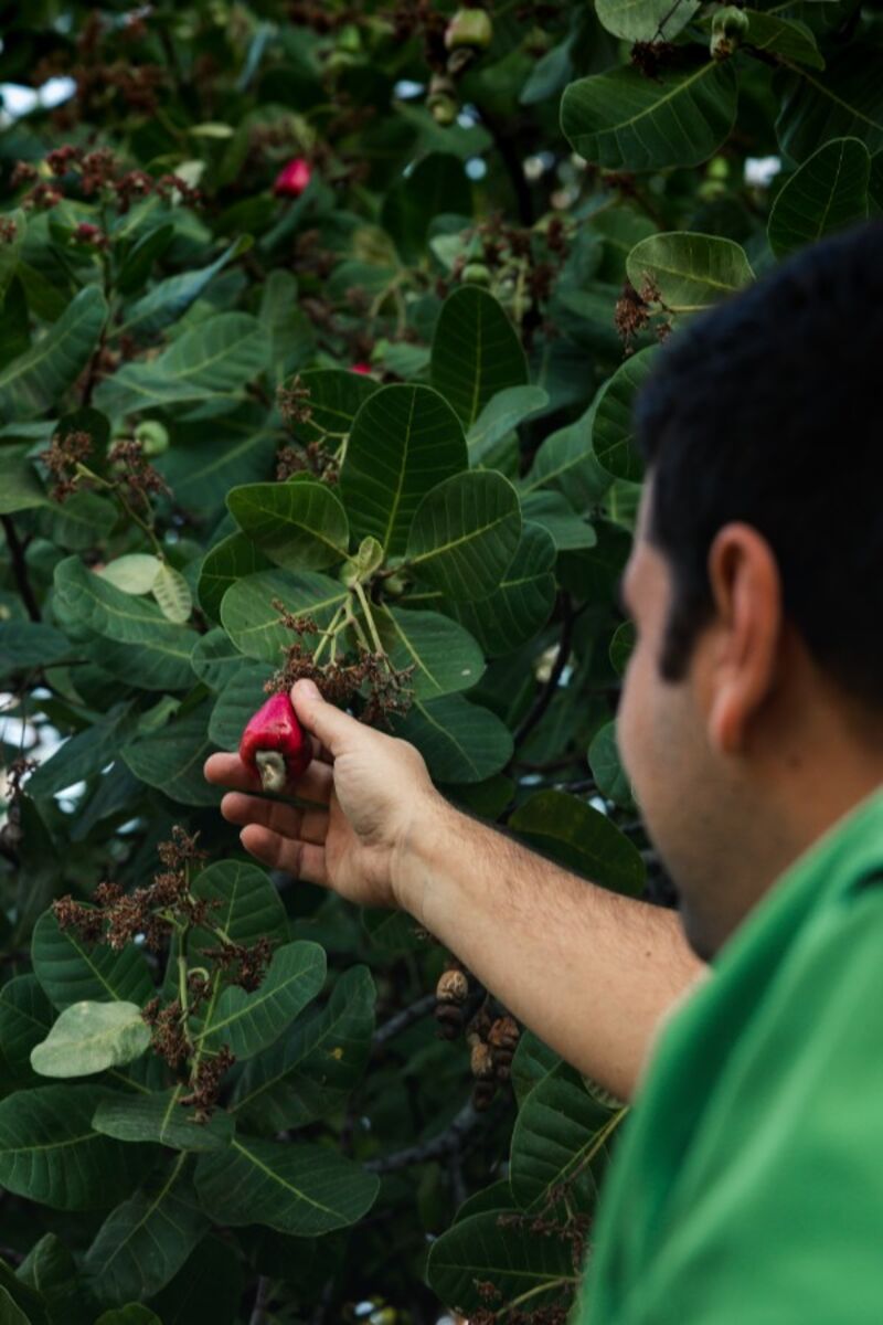 Lokal und nachhaltig: Canaima Gin setzt auf Zusammenarbeit mit Amazonas Stämmen