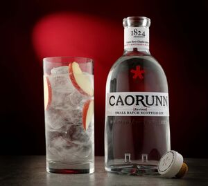 Schottischer Gin aus der Speyside: Caorunn