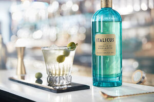 Italicus