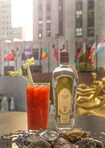 Rutte Gin in NY