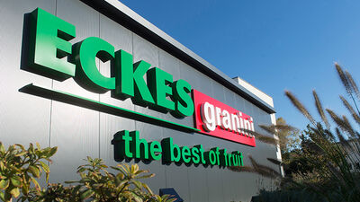 Eckes-Granini Gruppe setzt gemeinsam mit Solidaridad Kleinbauernprojekt zur Förderung des nachhaltigen Orangenanbaus in Brasilien um