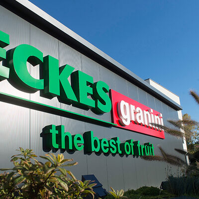 Eckes-Granini Gruppe setzt gemeinsam mit Solidaridad Kleinbauernprojekt zur Förderung des nachhaltigen Orangenanbaus in Brasilien um