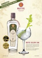 RUTTE CELERY GIN 